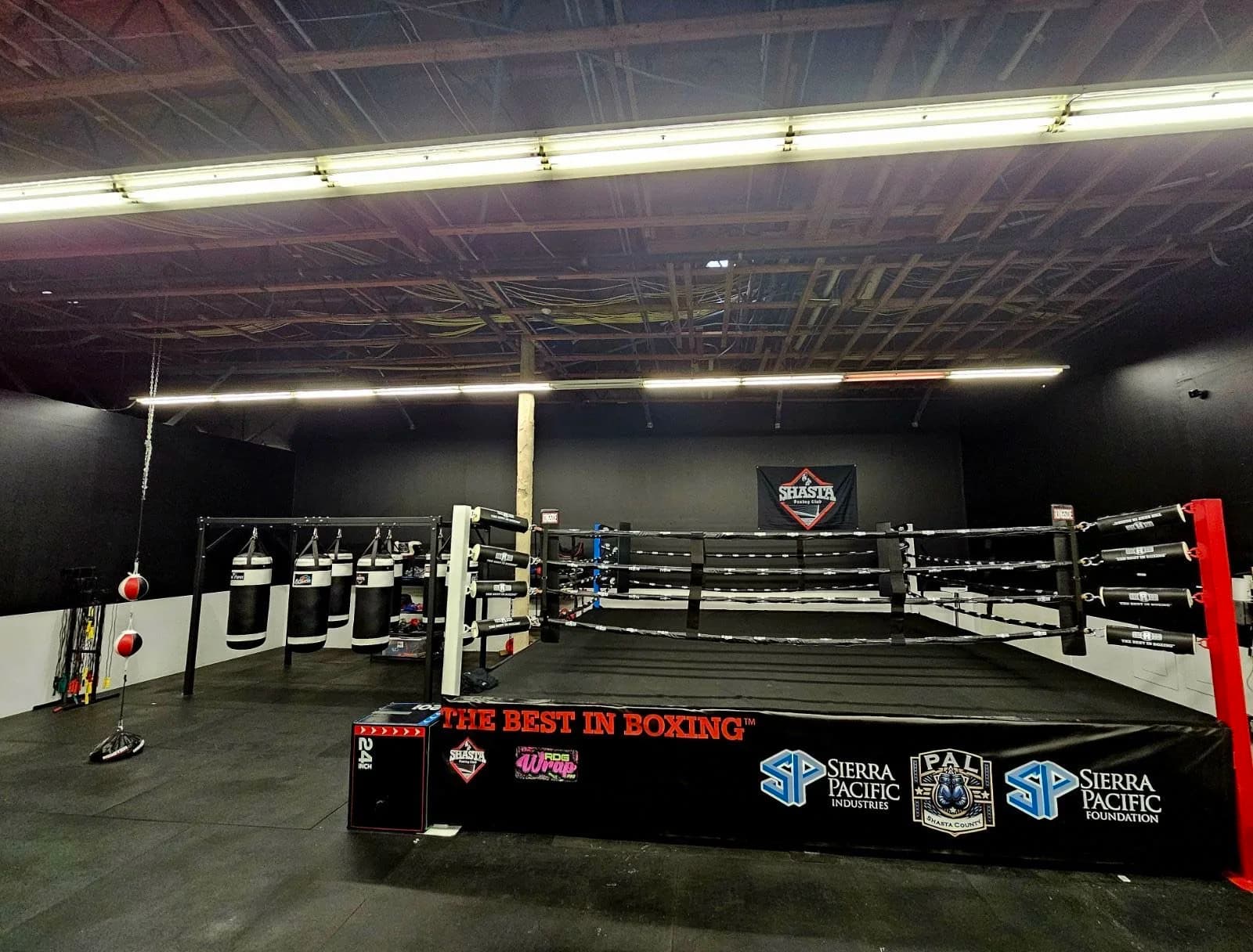 Shasta Boxing Club logo