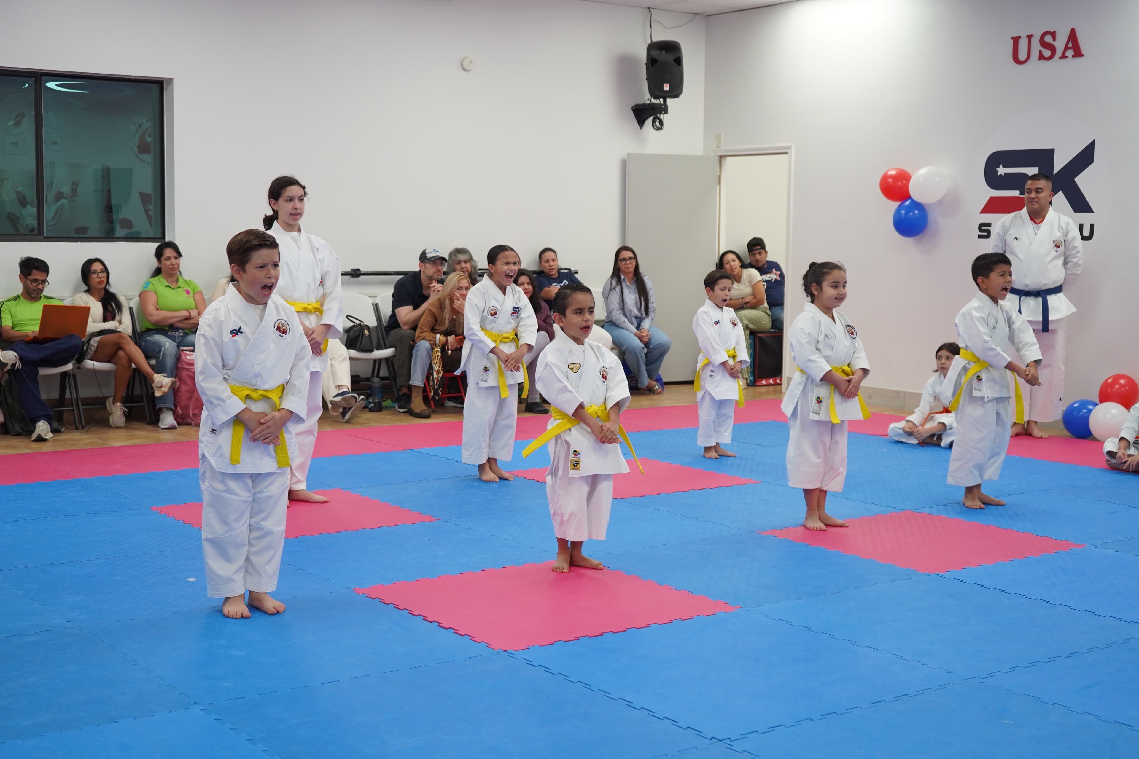 Main image of Shin Ku Karate