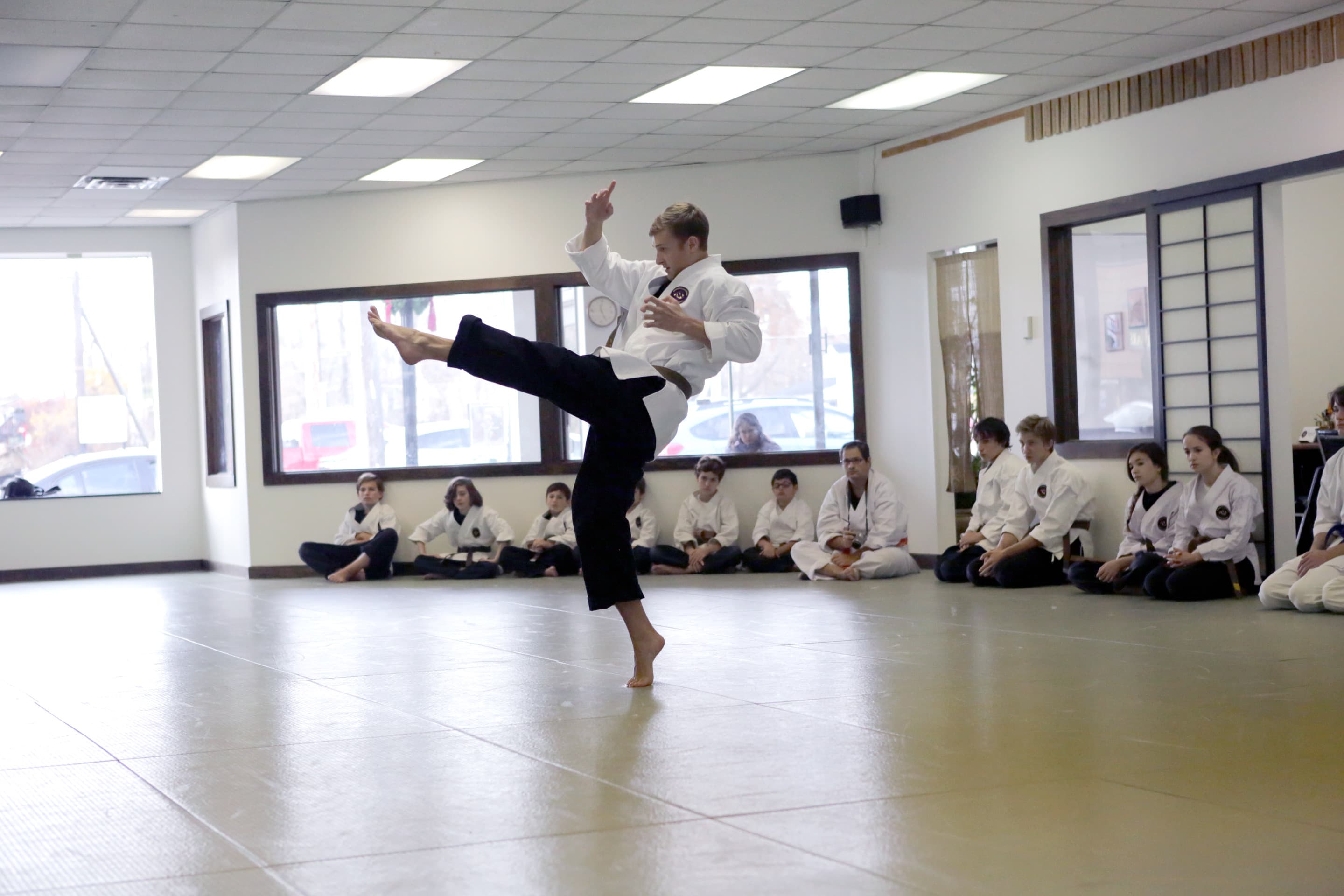 Shindokan Budo - Long Island logo