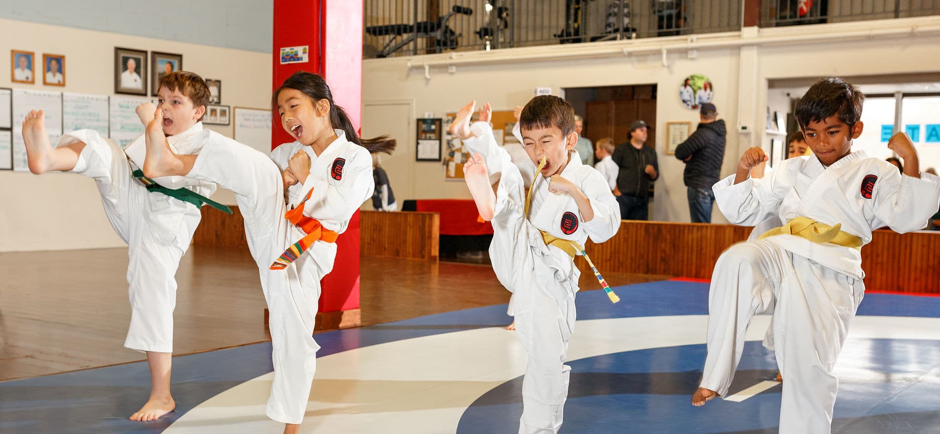 Main image of Shudokan Family Karate Centre