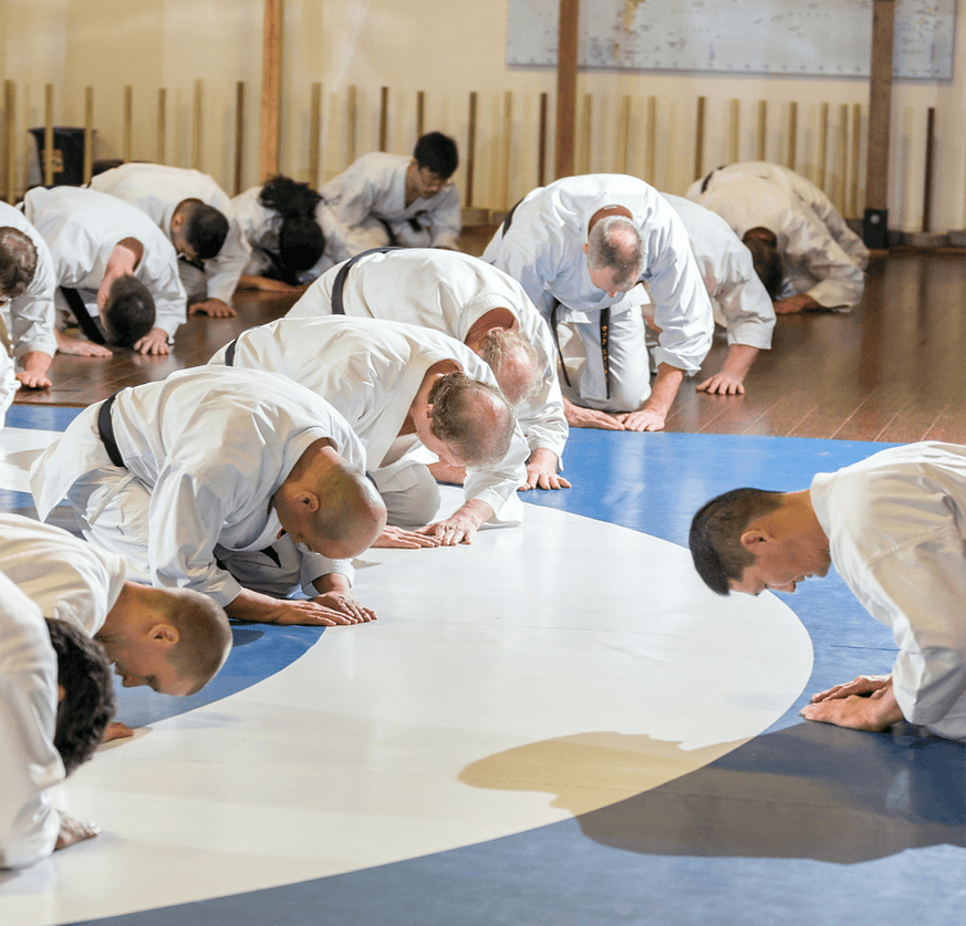 Shudokan Family Karate Centre logo