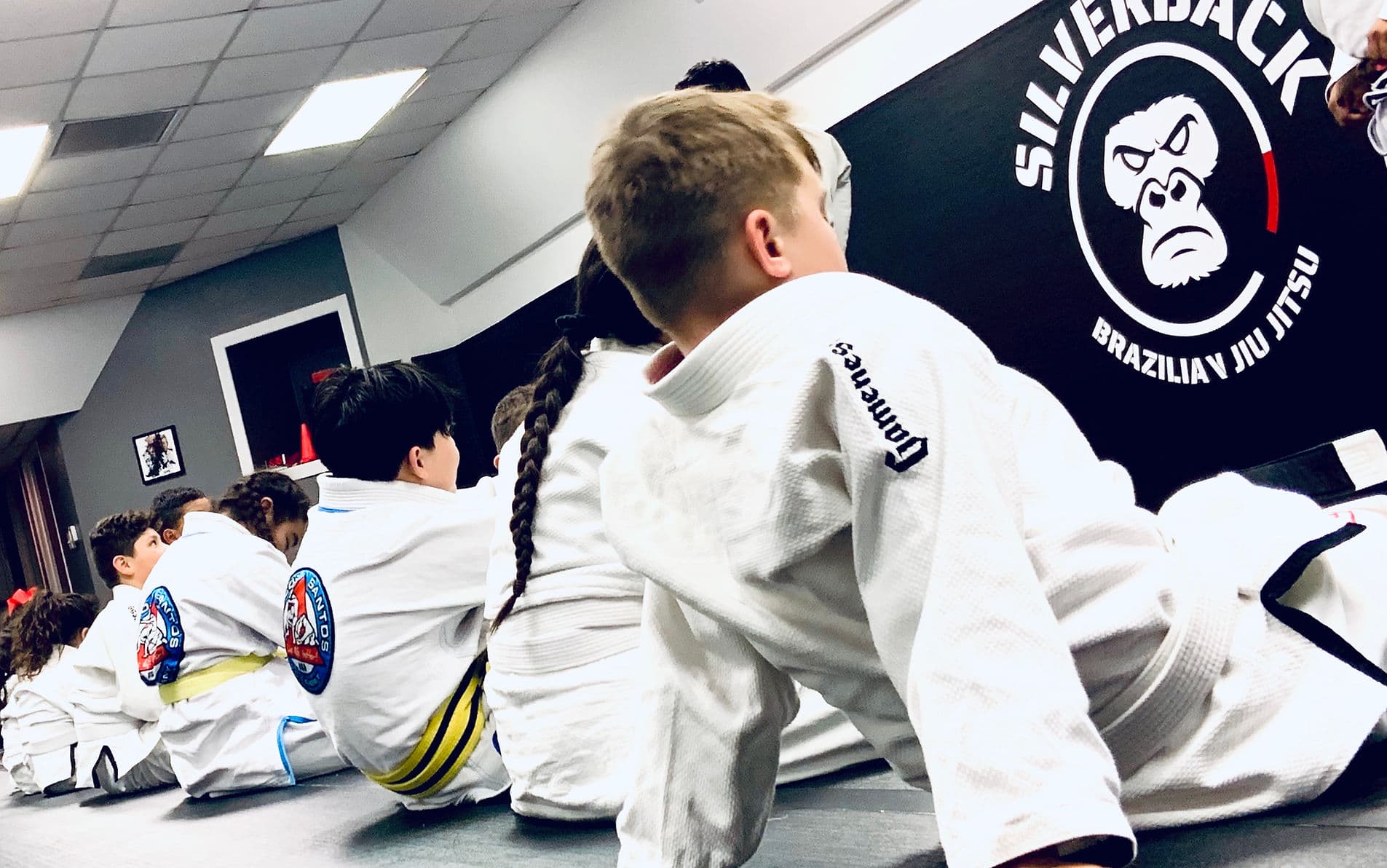 Silverback Brazilian Jiu Jitsu logo