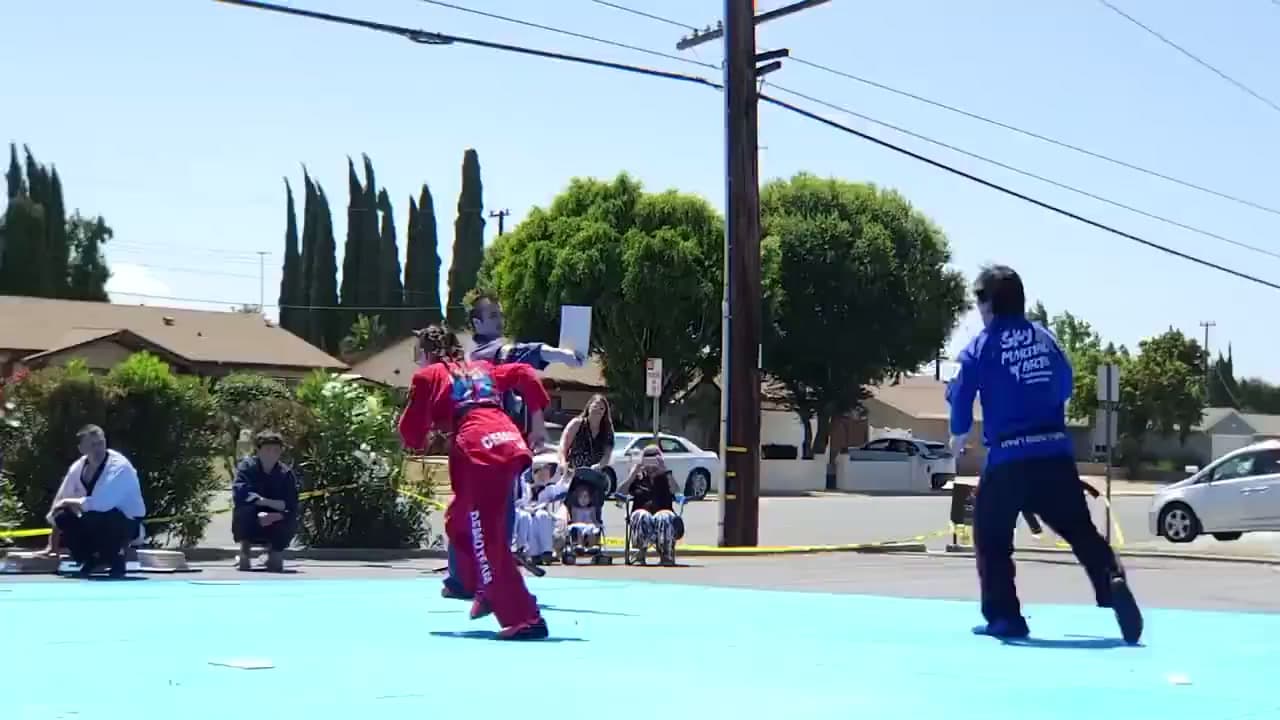 Sky Martial Arts Simi Valley - Masters United logo