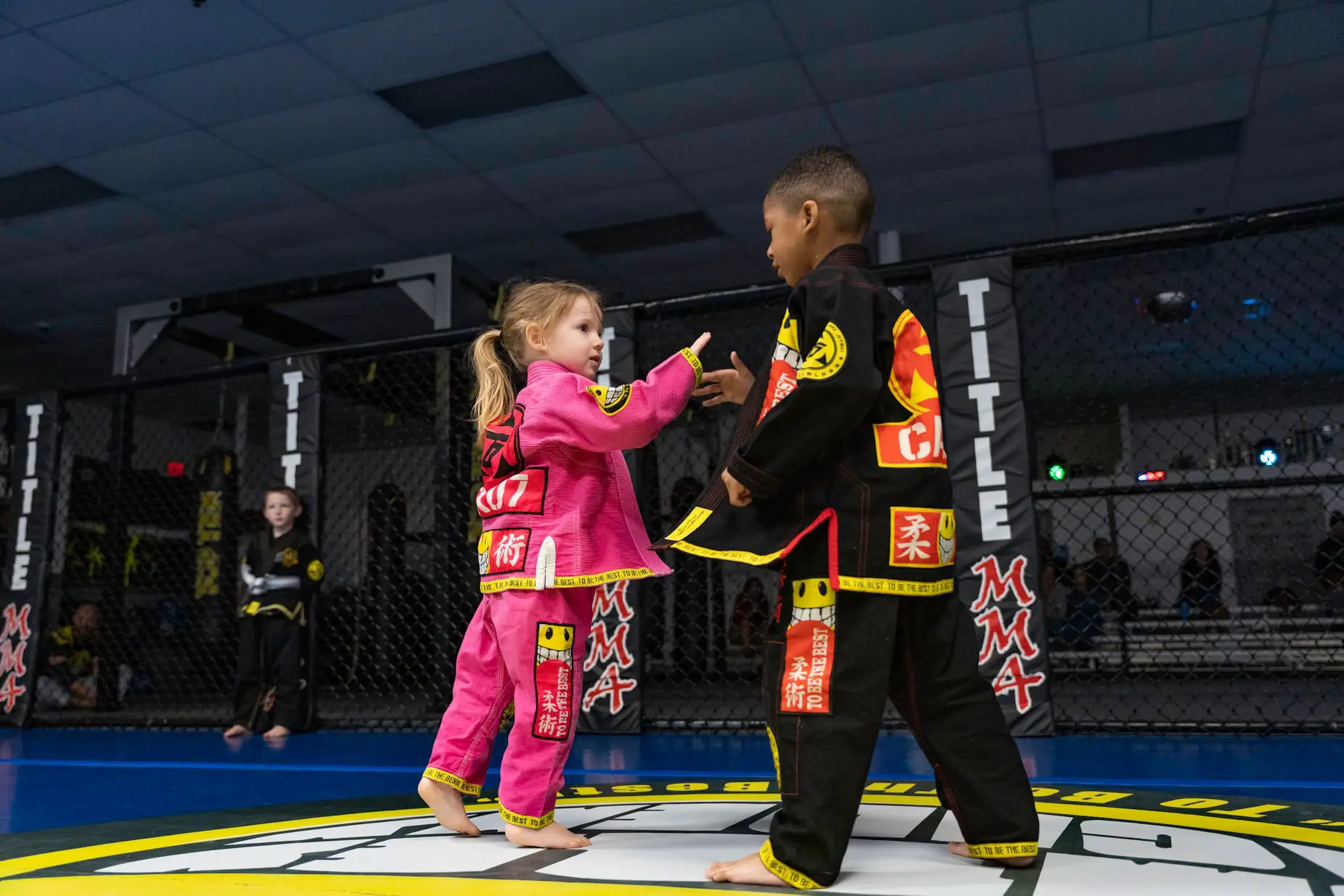 Main image of Smiley Academy of Martial Arts/Team Combat Athletix