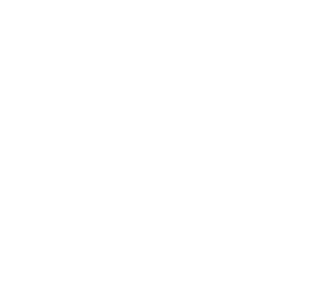 Solis Boxing logo