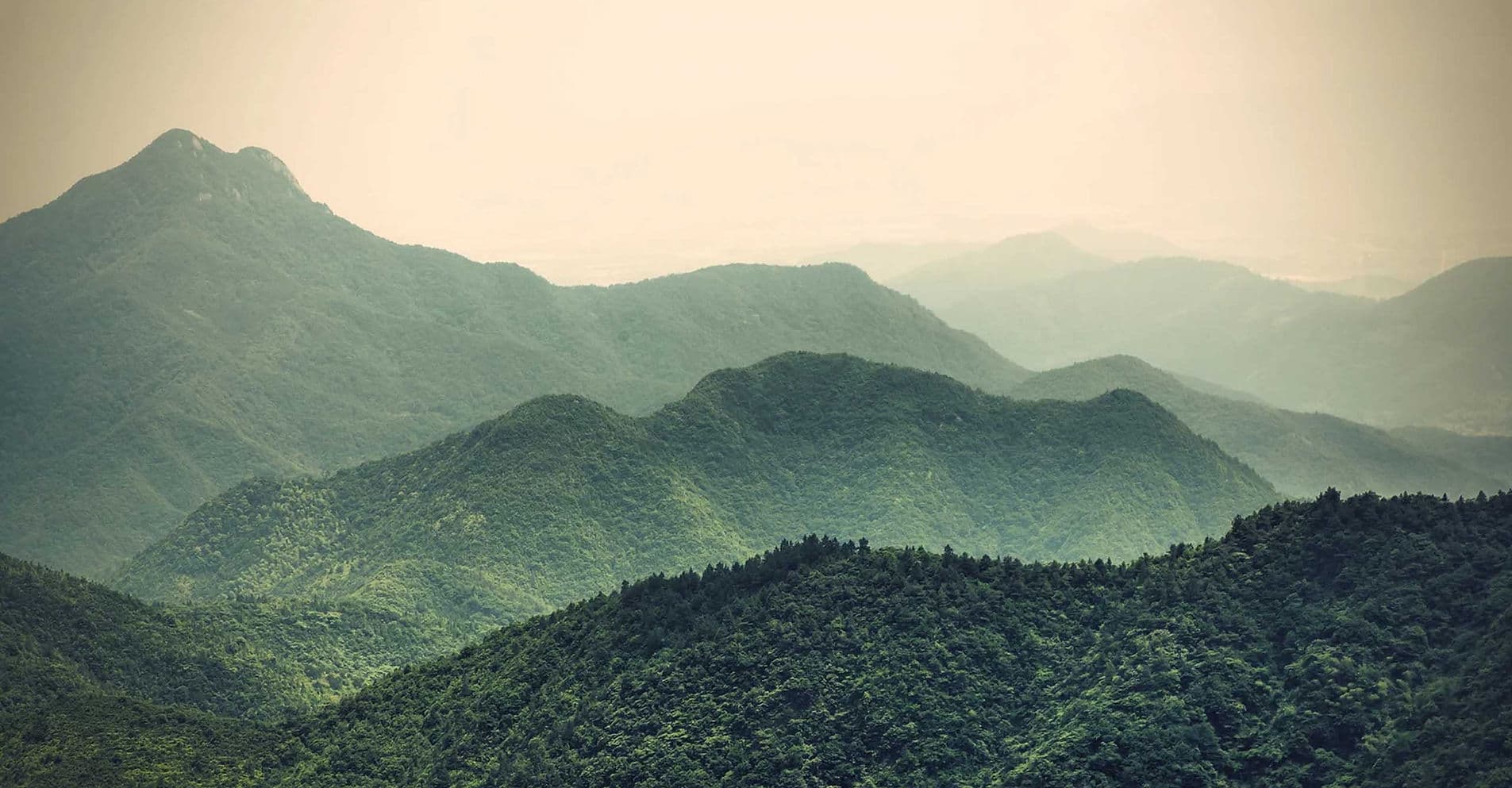 Main image of Song's Kung Fu