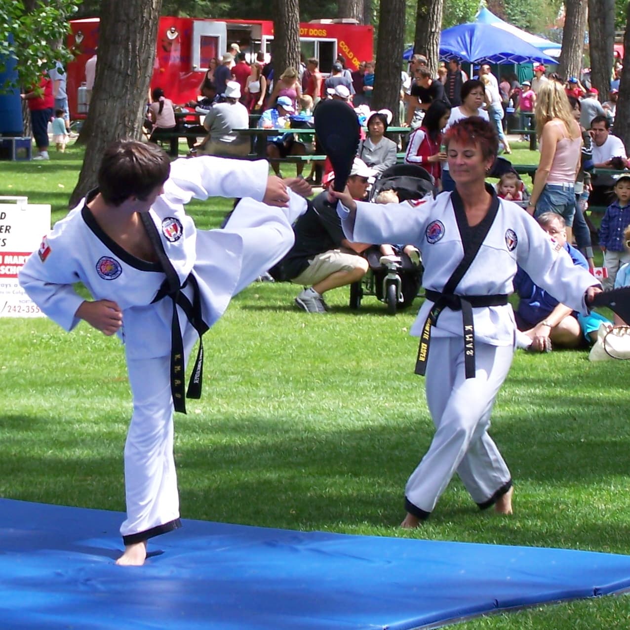 Spears Taekwondo Academy logo