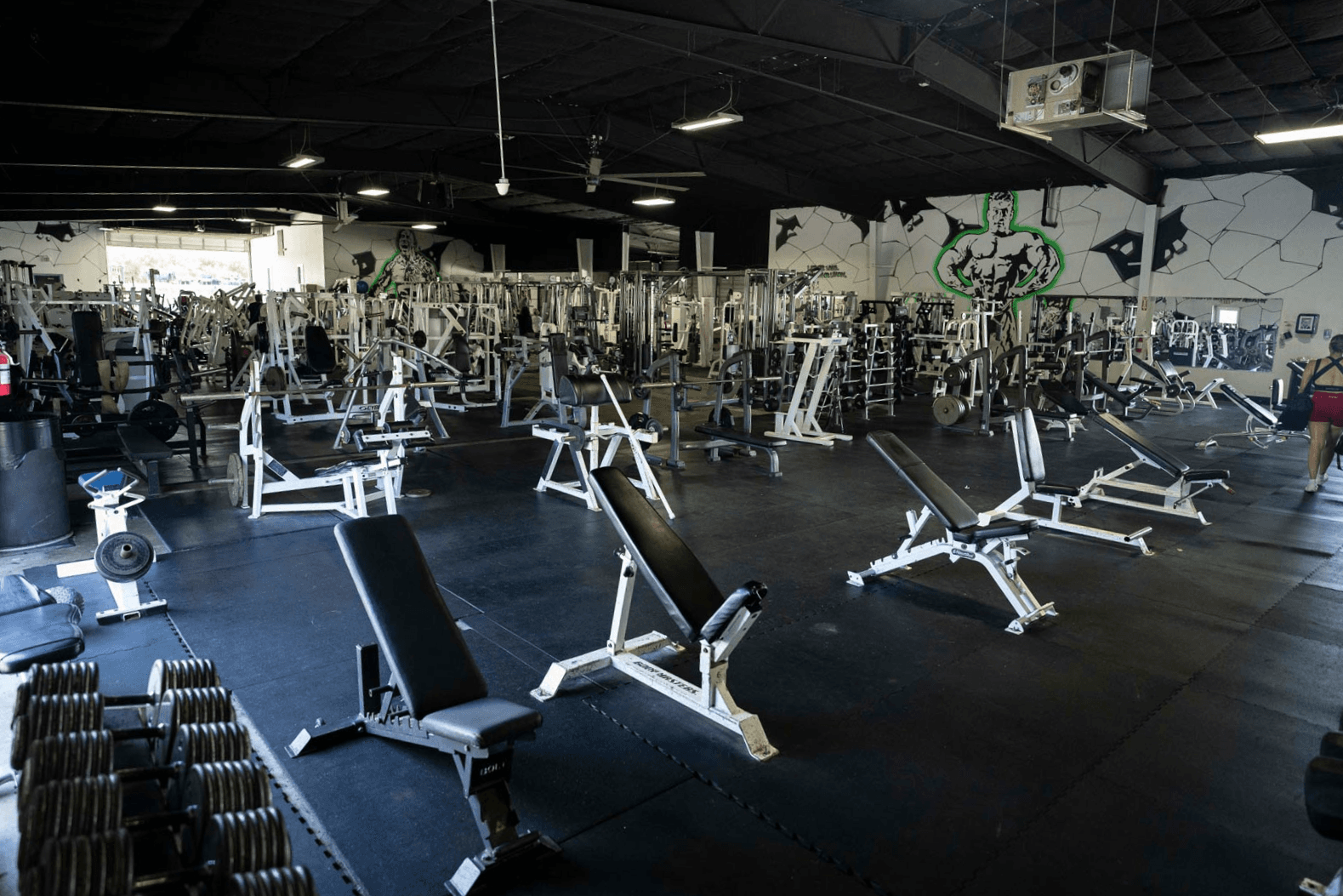 Species Gym logo