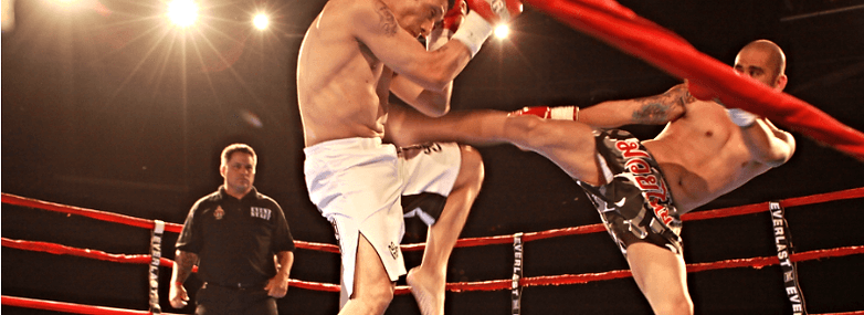 Spider Muay Thai logo