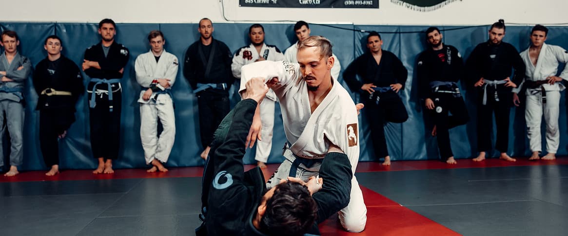 Main image of Standalone MMA, Brazilian Jiu-Jitsu, Boxing, Muay Thai Kickboxing and Fitness