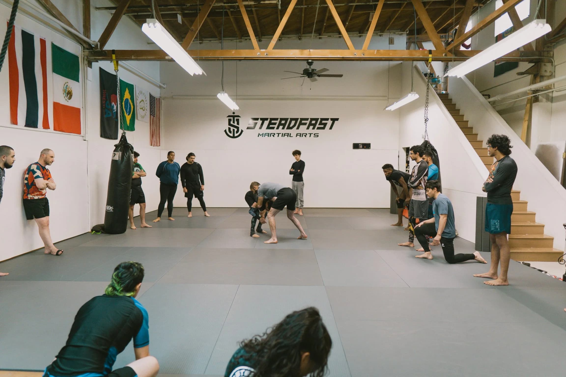 Steadfast Martial Arts logo