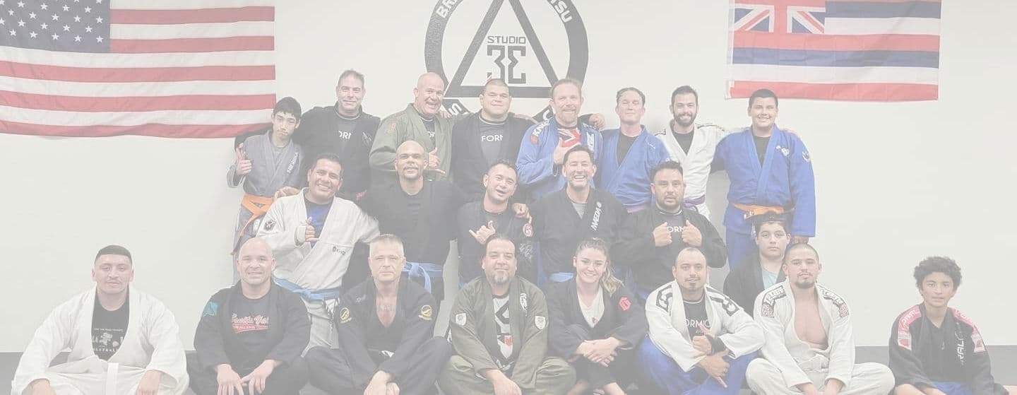 Studio 33 Brazilian Jiu Jitsu logo