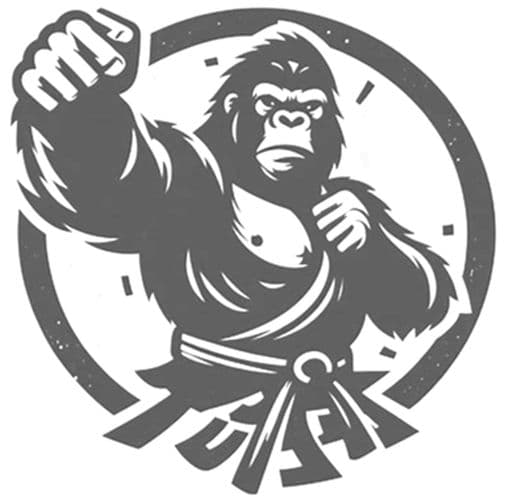 Sullivan’s MMA logo