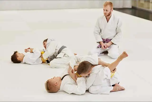 Main image of Superior Jiu-Jitsu