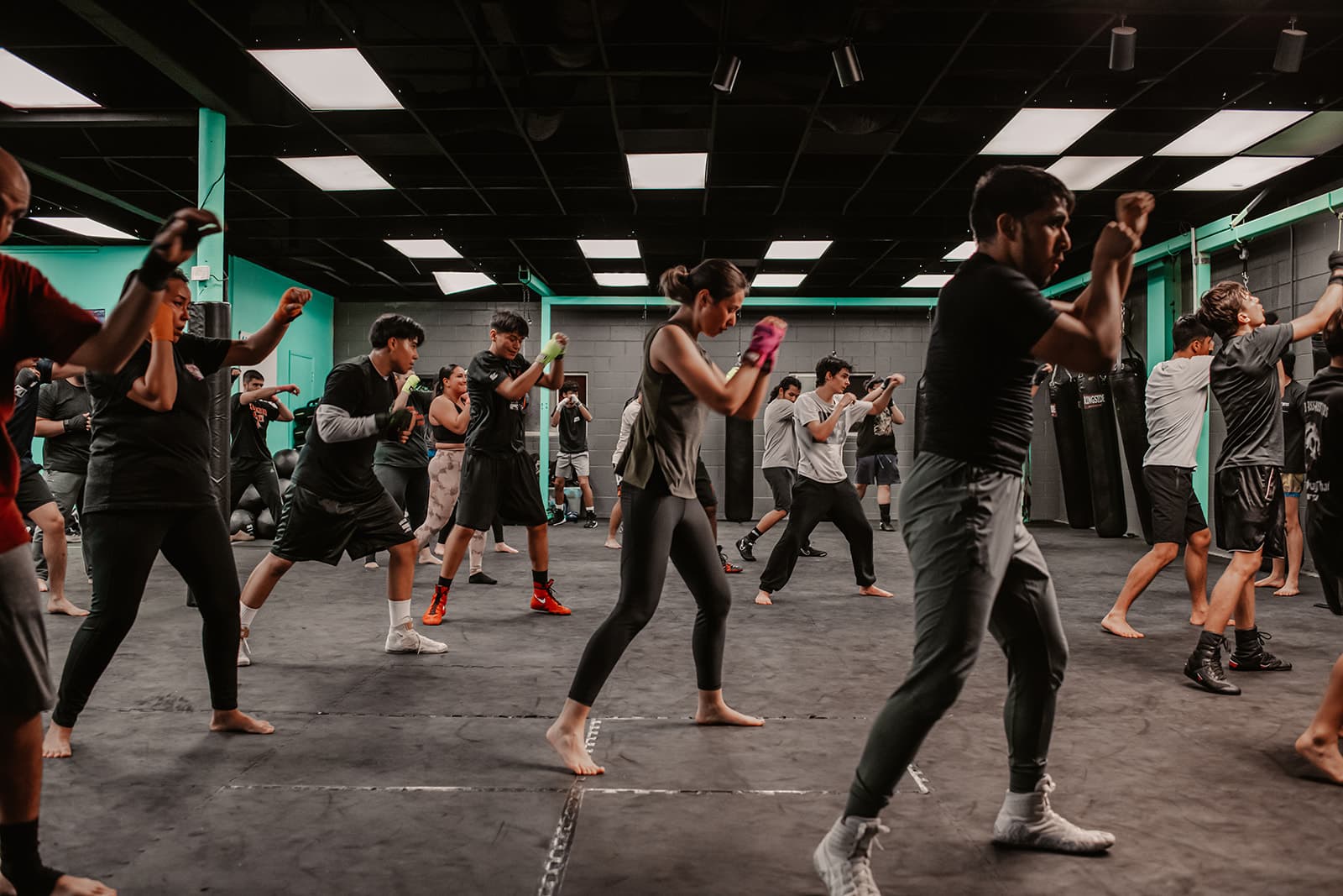 Switch Fitness San Diego | El Cajon Muay Thai - Jiu Jitsu - Boxing - Judo - Yoga logo