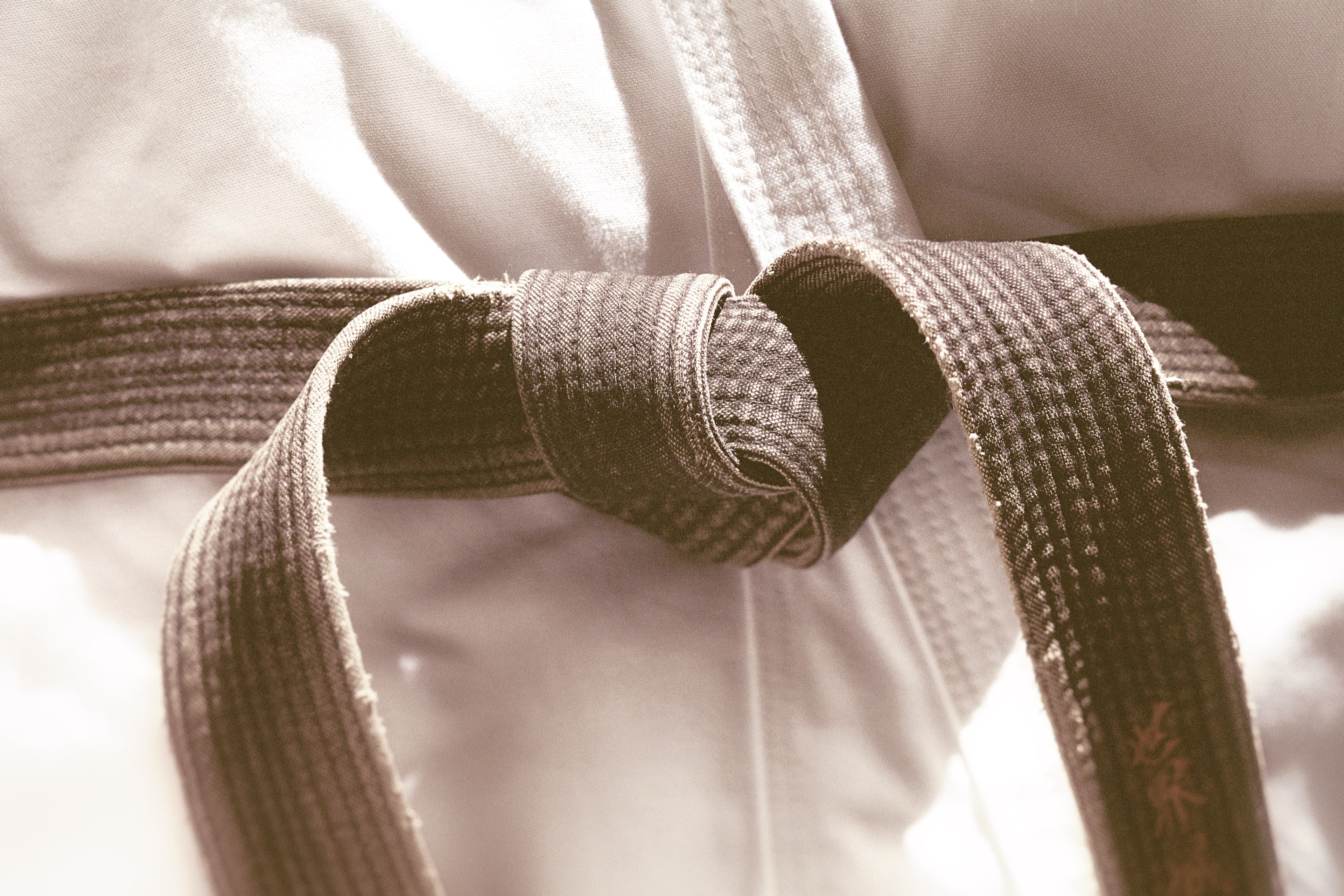 T Kane's Kung Fu Karate logo
