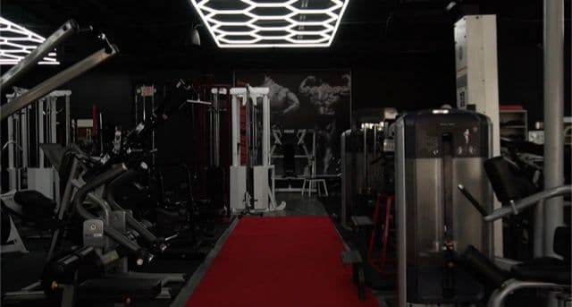 Main image of Tactical Gym Elite