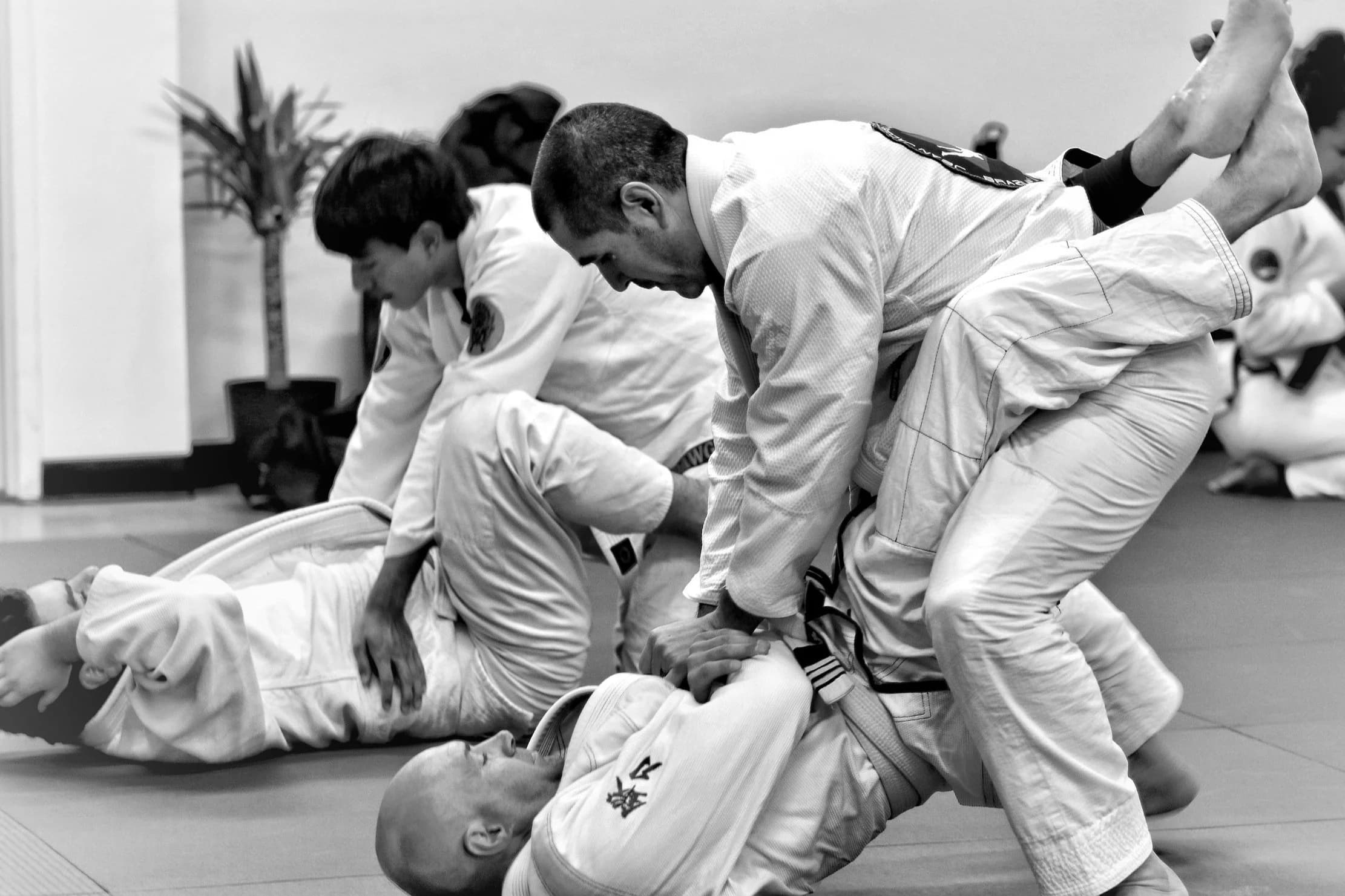 Main image of TANTŌ JIUJITSU, A Jean Jacques Machado Affiliate