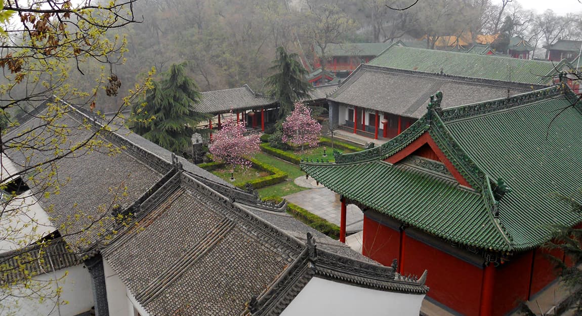 Taoist Sanctuary logo