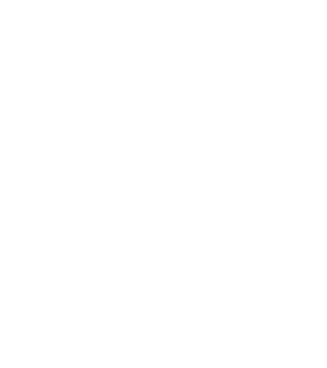 Taurus MMA logo