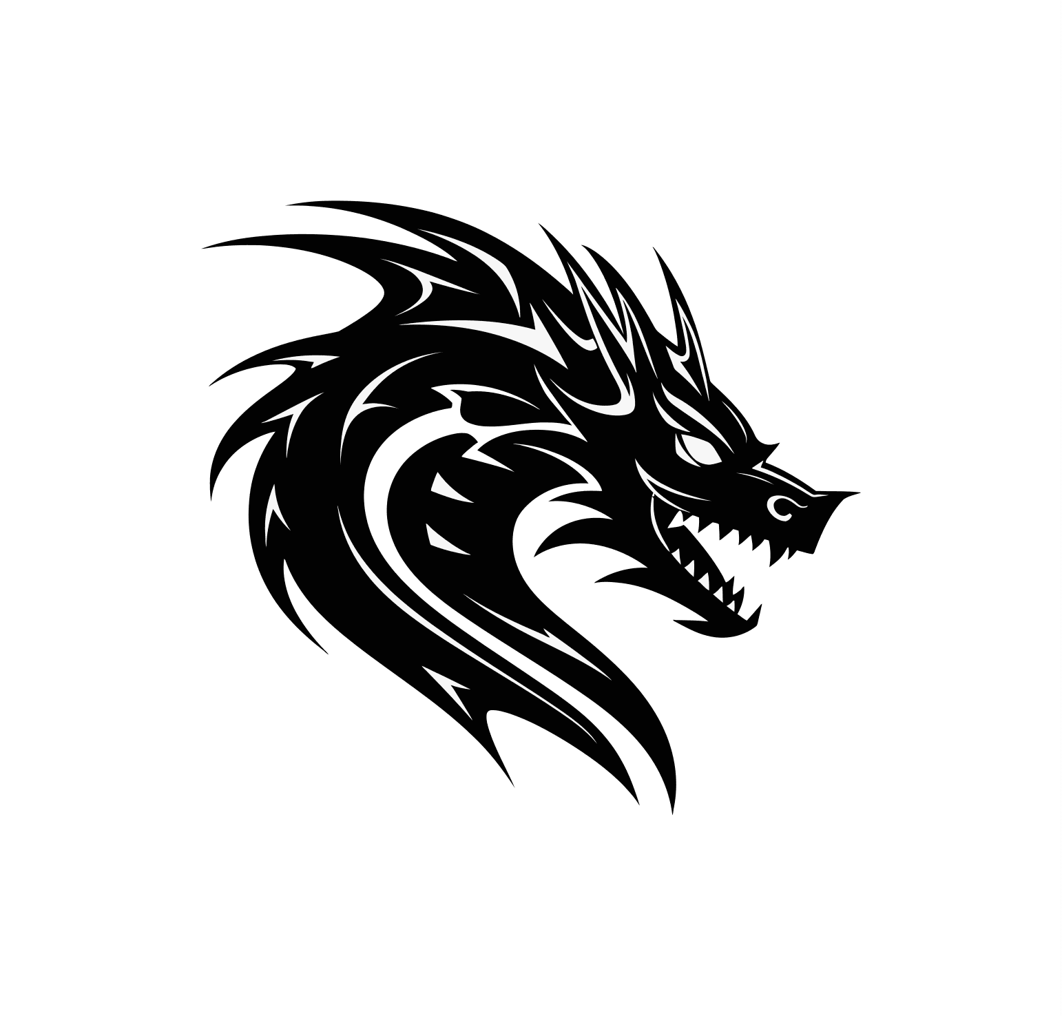 Main image of Team Dragons Taekwondo