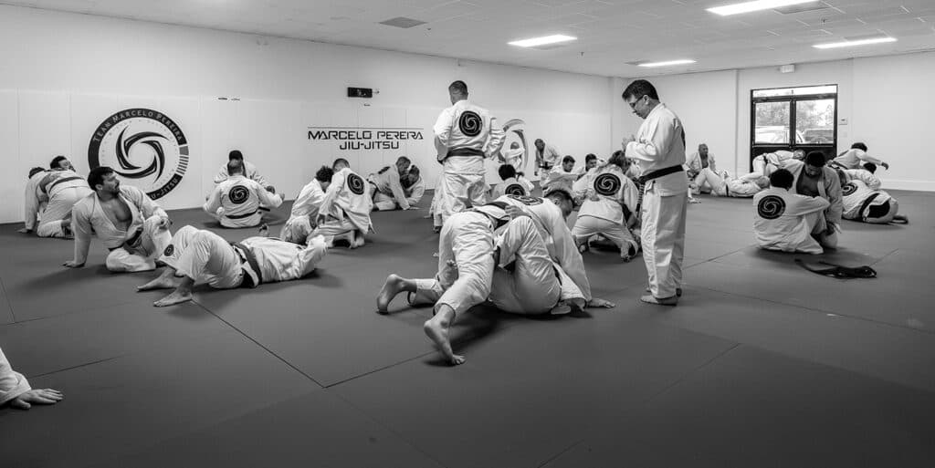 Main image of Team Marcelo Pereira Brazilian Jiu-Jitsu
