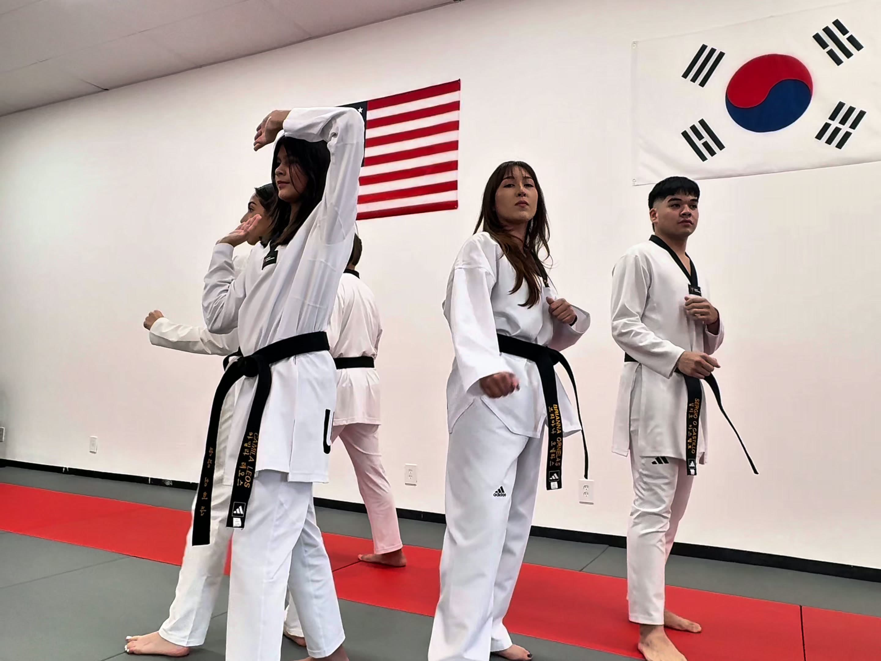Team One Taekwondo logo