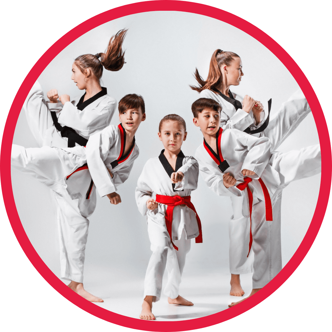 Main image of Tennessee Taekwondo Judo College (TTJC)