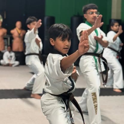 Texas Karate Do is now Imperial Dragon Martial Arts logo