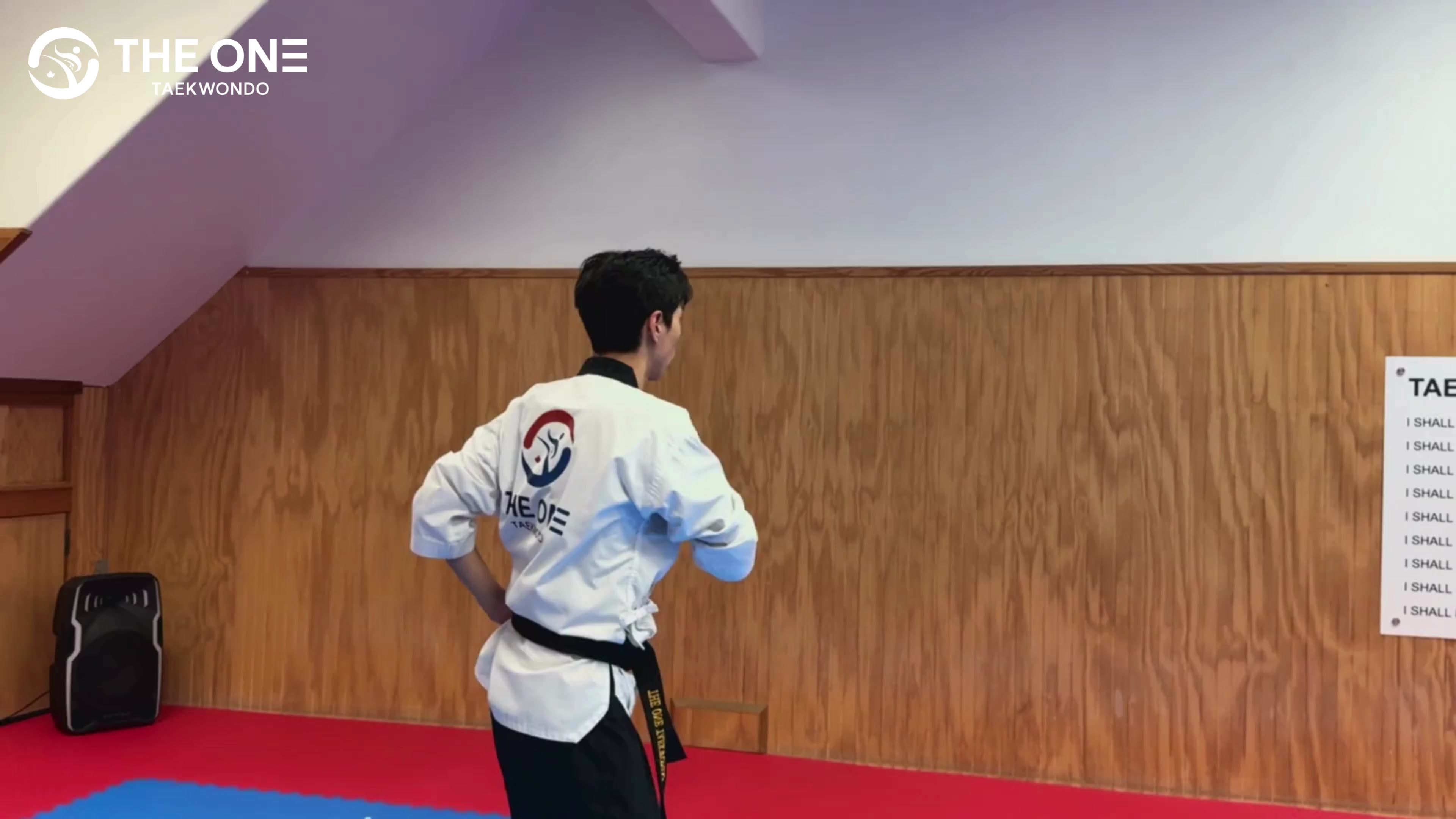 The One Taekwondo Squamish logo