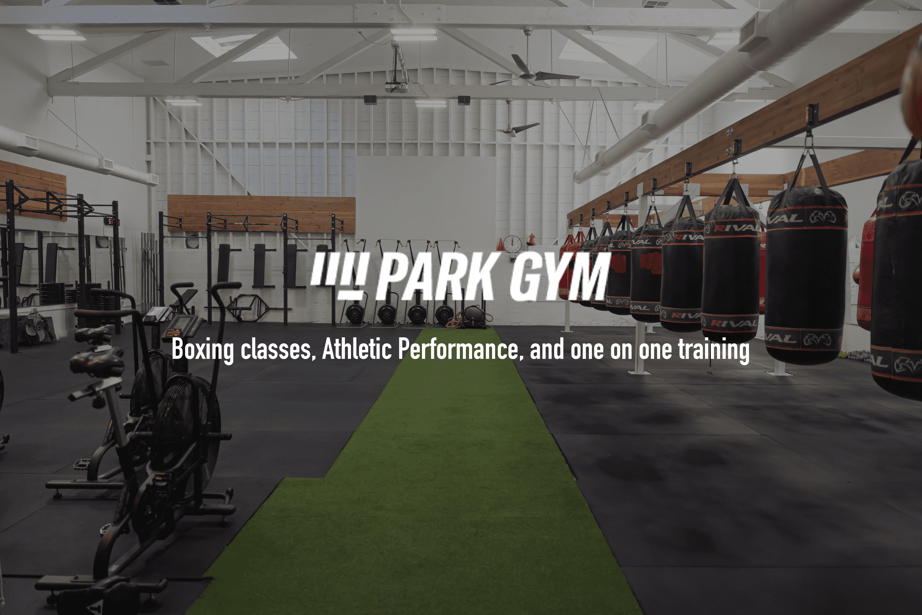 The Park Gym logo