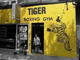 Main image of Tiger Boxing Gym