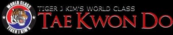 Main image of Tiger J Kim's World Class Taekwondo 2