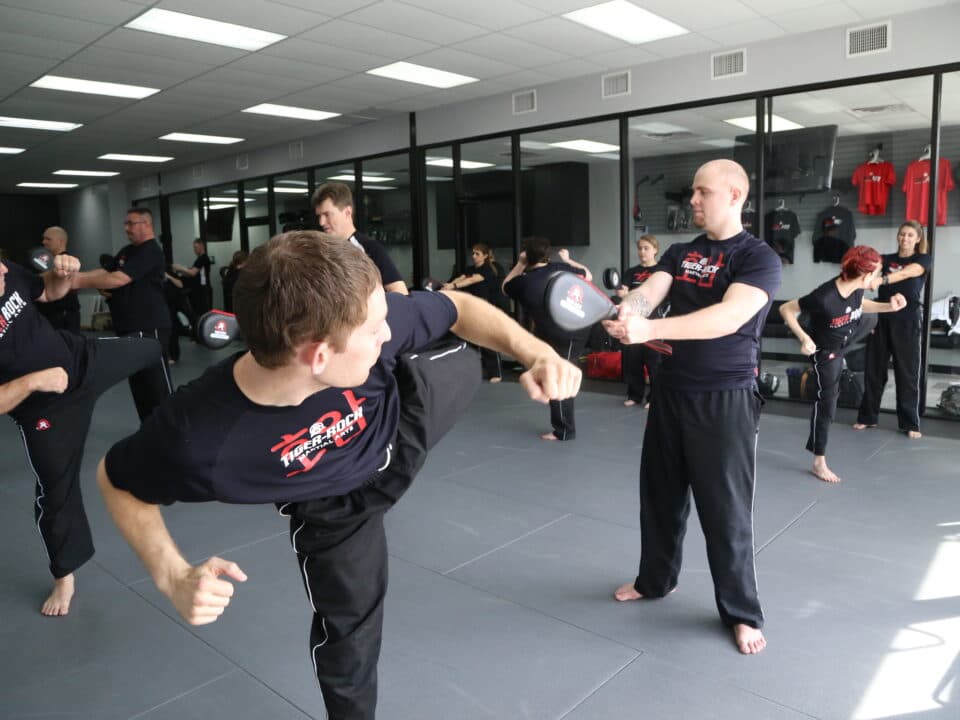 Main image of Tiger-Rock Martial Arts of Atascocita