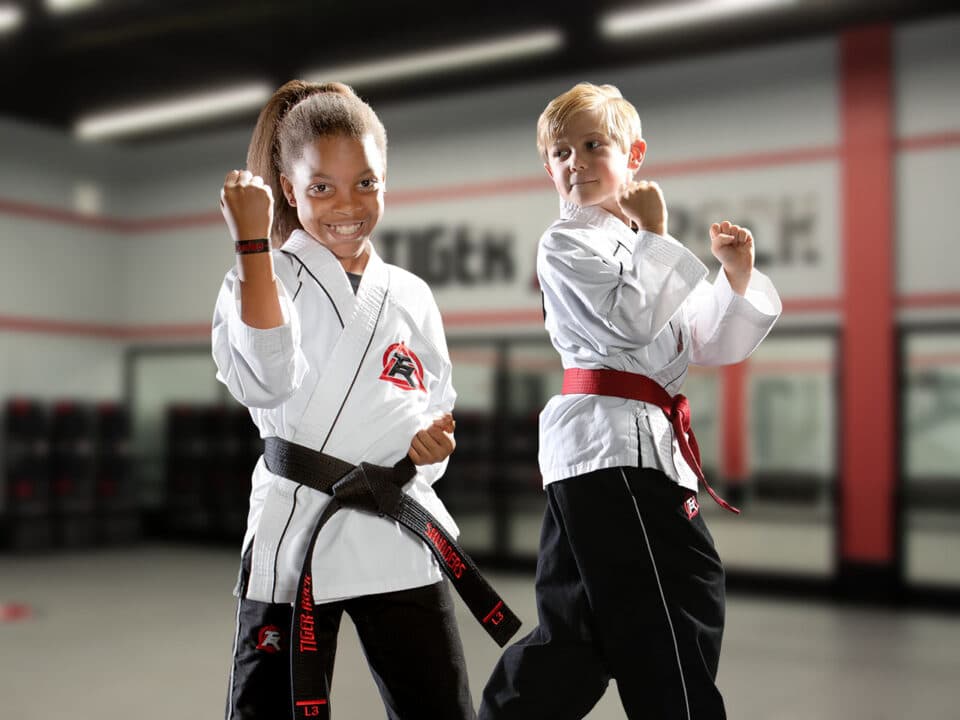 Tiger-Rock Martial Arts of Atascocita logo