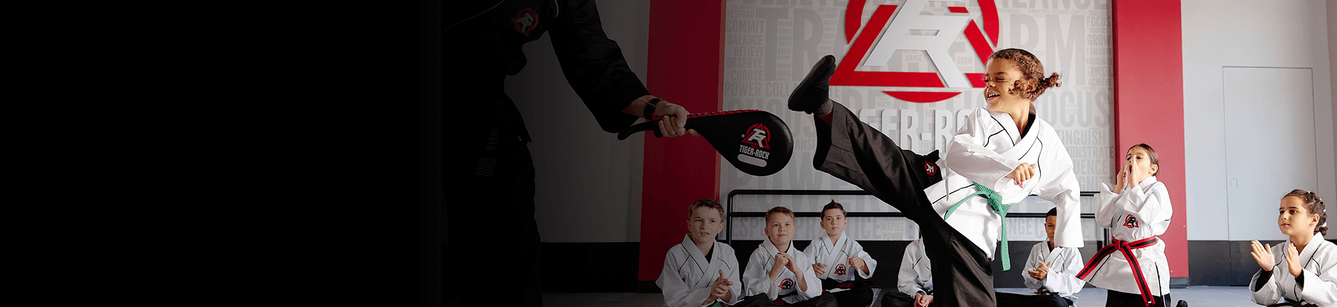 Main image of Tiger-Rock Martial Arts of Keller