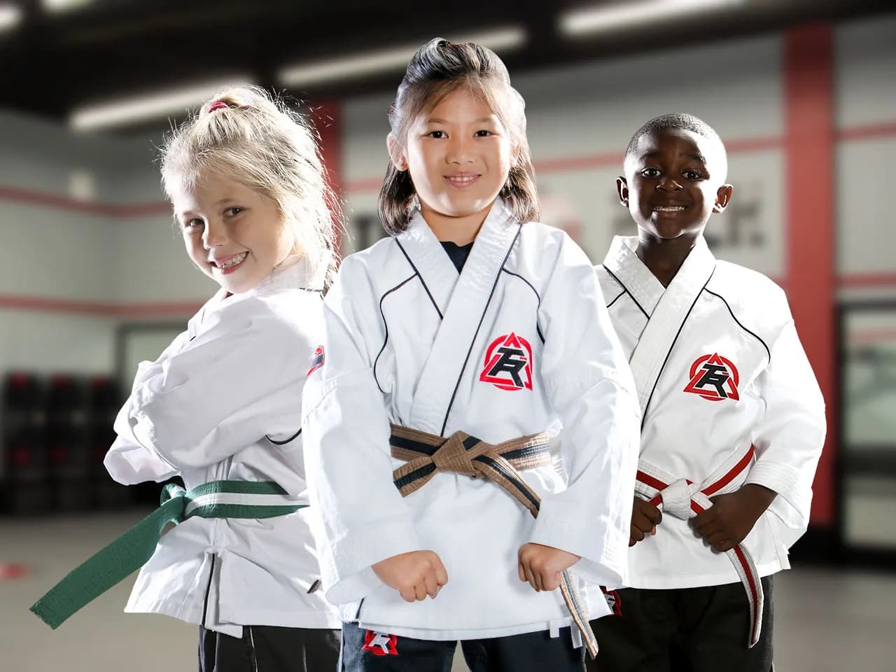 Tiger Rock Martial Arts of Mid-County logo