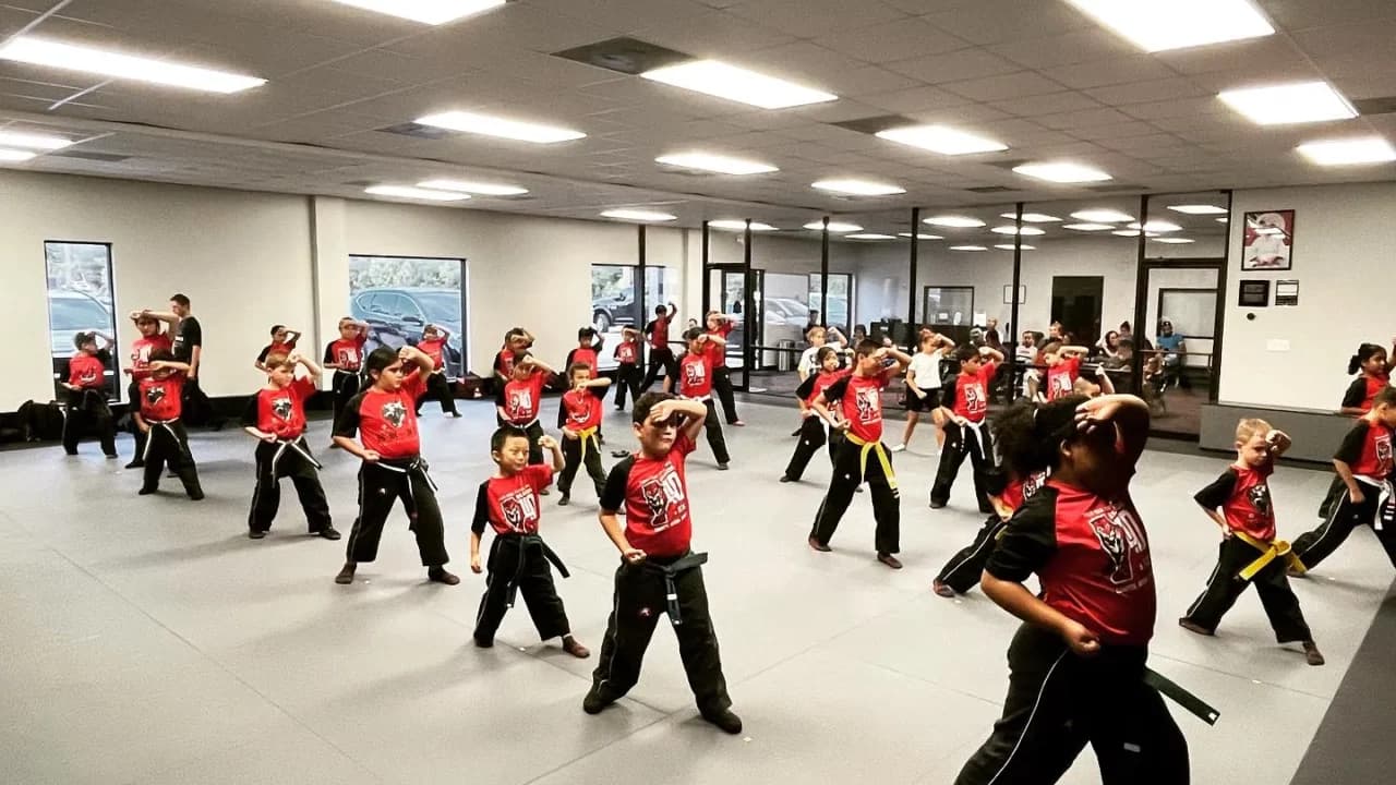 Main image of Tiger-Rock Martial Arts of Spring