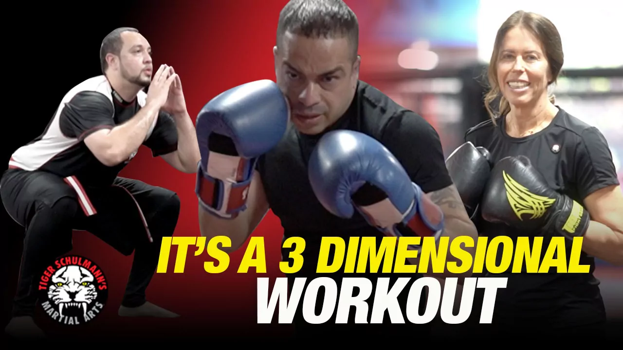 Main image of Tiger Schulmann's Martial Arts (New Windsor, NY)