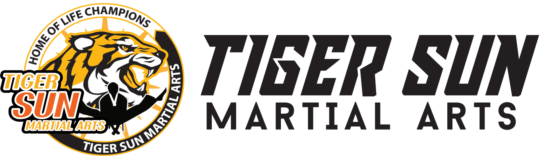 TIGER SUN MARTIAL ARTS LITTLE ELM / PROSPER KARATE TAEKWONDO logo