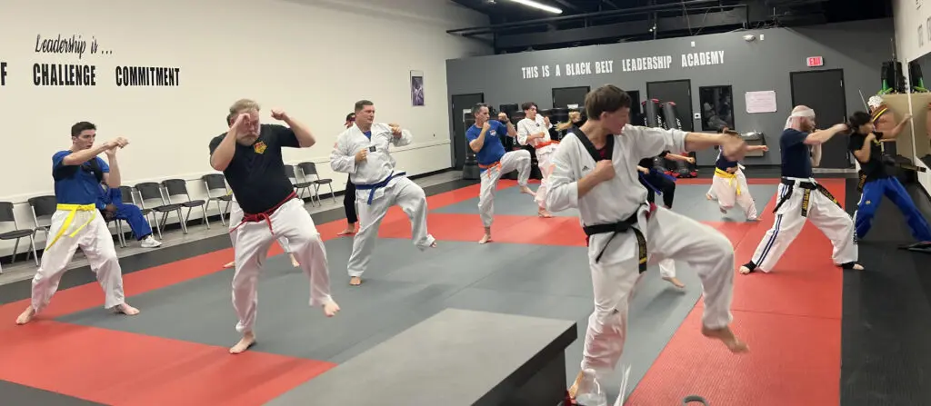Main image of TKD Armor Academy - Taekwondo - Brazilian Jiu-Jitsu