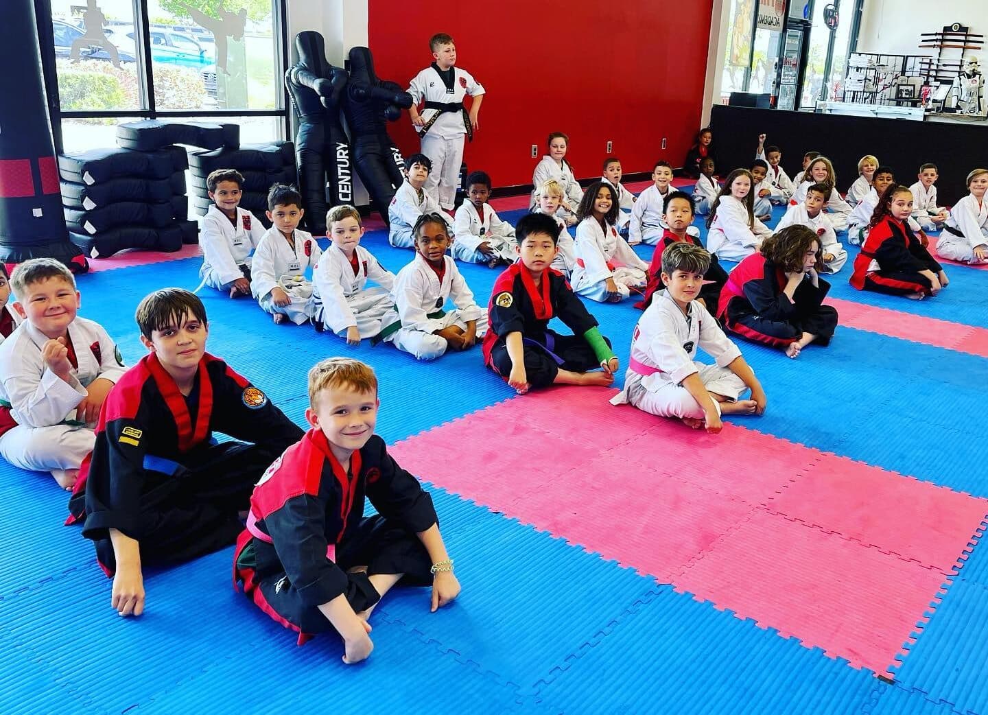 Main image of TKO Wado Ryu Karate