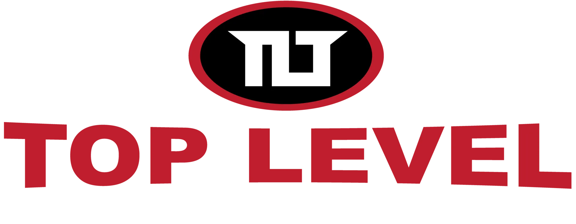 Main image of Top Level Taekwondo & Martial Arts Academy Ontario