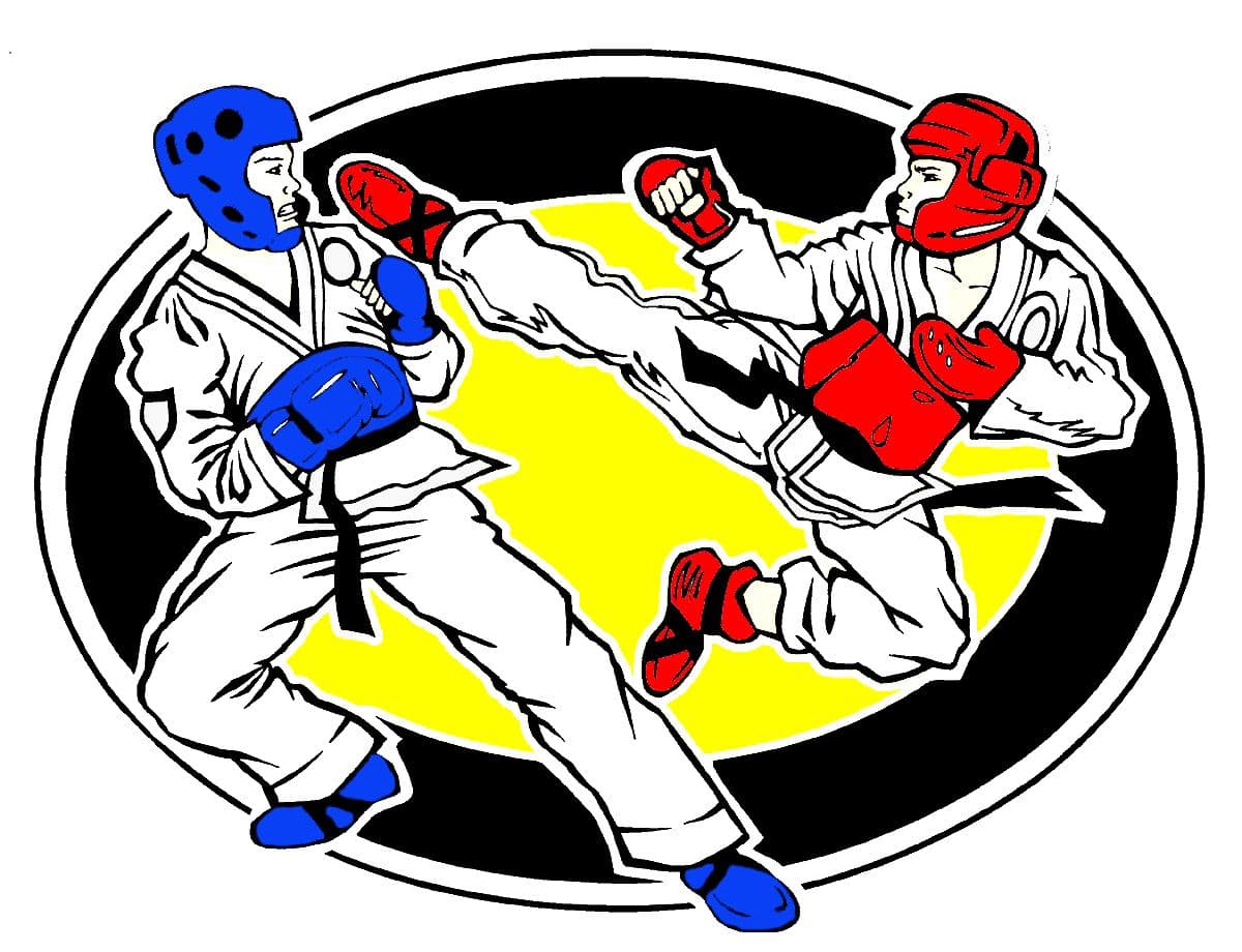 U.S.A. Fit Force Taekwondo logo