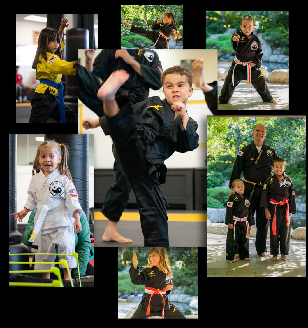 Main image of U.S. Karate Academy