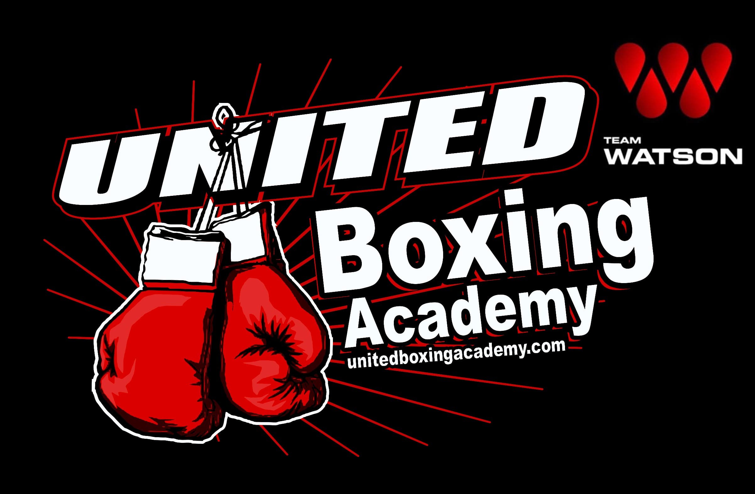 United Boxing Academy logo