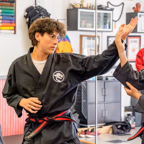 Main image of United Studios of Self Defense - Livermore