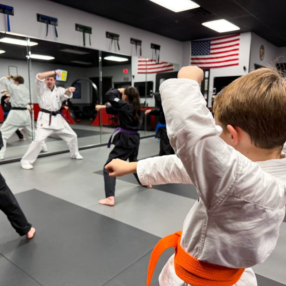 Main image of United Studios of Self Defense