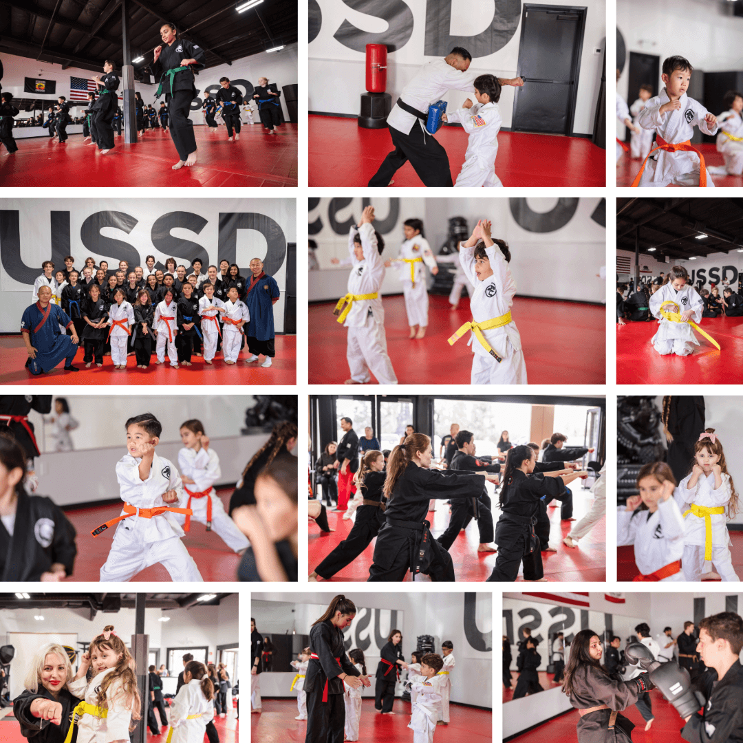 Main image of United Studios of Self Defense (USSD) - Lake Forest