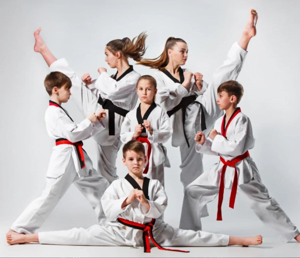 US Taekwondo Team logo